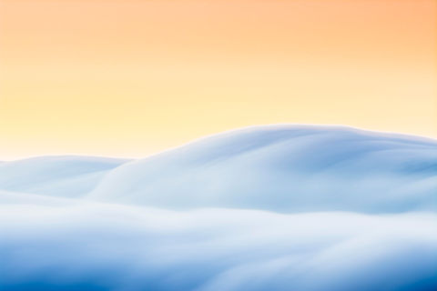 Foggy. Landscape