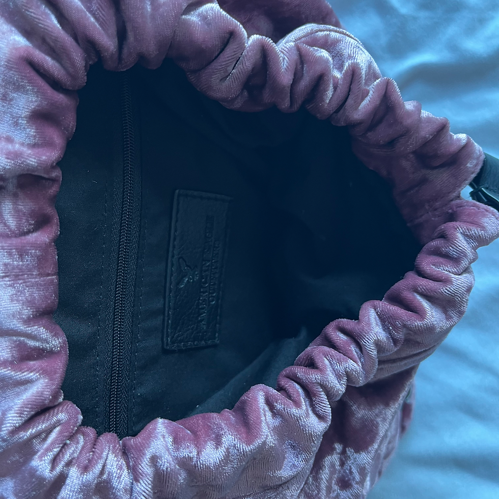 Thumbnail: American Eagle Crushed Velvet Mauve Backpack