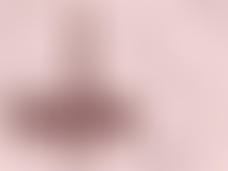 Legal Updates: 2 to 6 February 2026