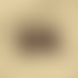 Legal Updates: 2 to 6 March 2026