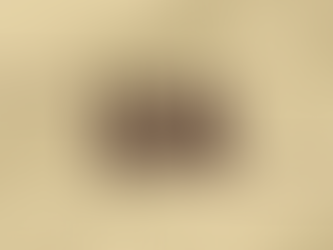 Legal Updates: 2 to 6 March 2026