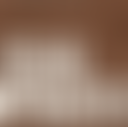 Legal Updates: 15 December 2025 to 9 January 2026