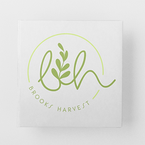 be creative branding for web (8).png