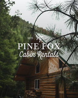 pine fox00.png
