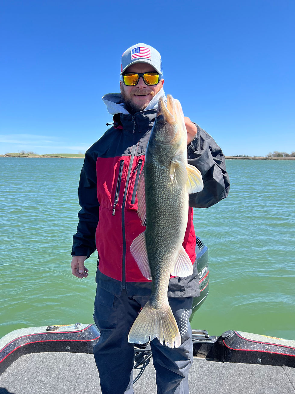walleye fishing lake francis case missouri river south dakota