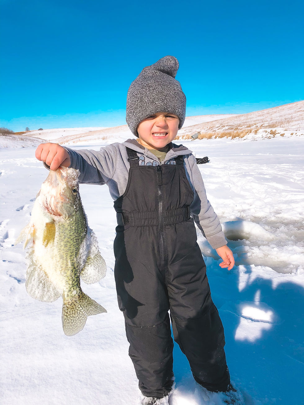 bass fishing lake francis case missouri river south dakota