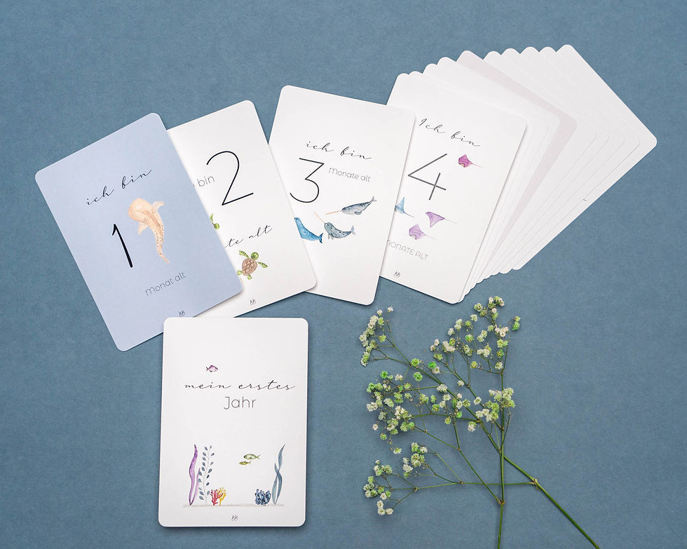 Miniaturbild: Meilensteinkarten für Dein Baby "Pau's Ocean"
