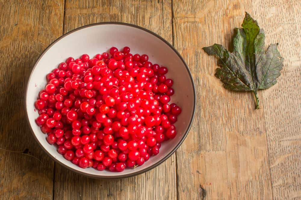 HIGH BUSH CRANBERRY TINCTURE