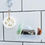 Thumbnail: Loofah Sponge