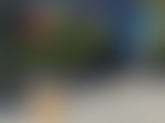 Campus silent as students skip school to play indie game Silksong