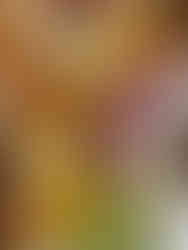 close up of food grazing board details with fruits and yoghurt