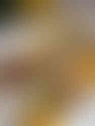 wedding brunch food box with variety of food by creative candies