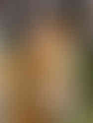 a variety of foods on a grazing table at a wedding by creative candies