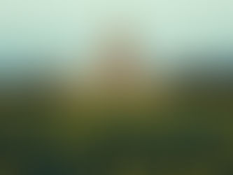 Biofuel Policy Brief - December 2025