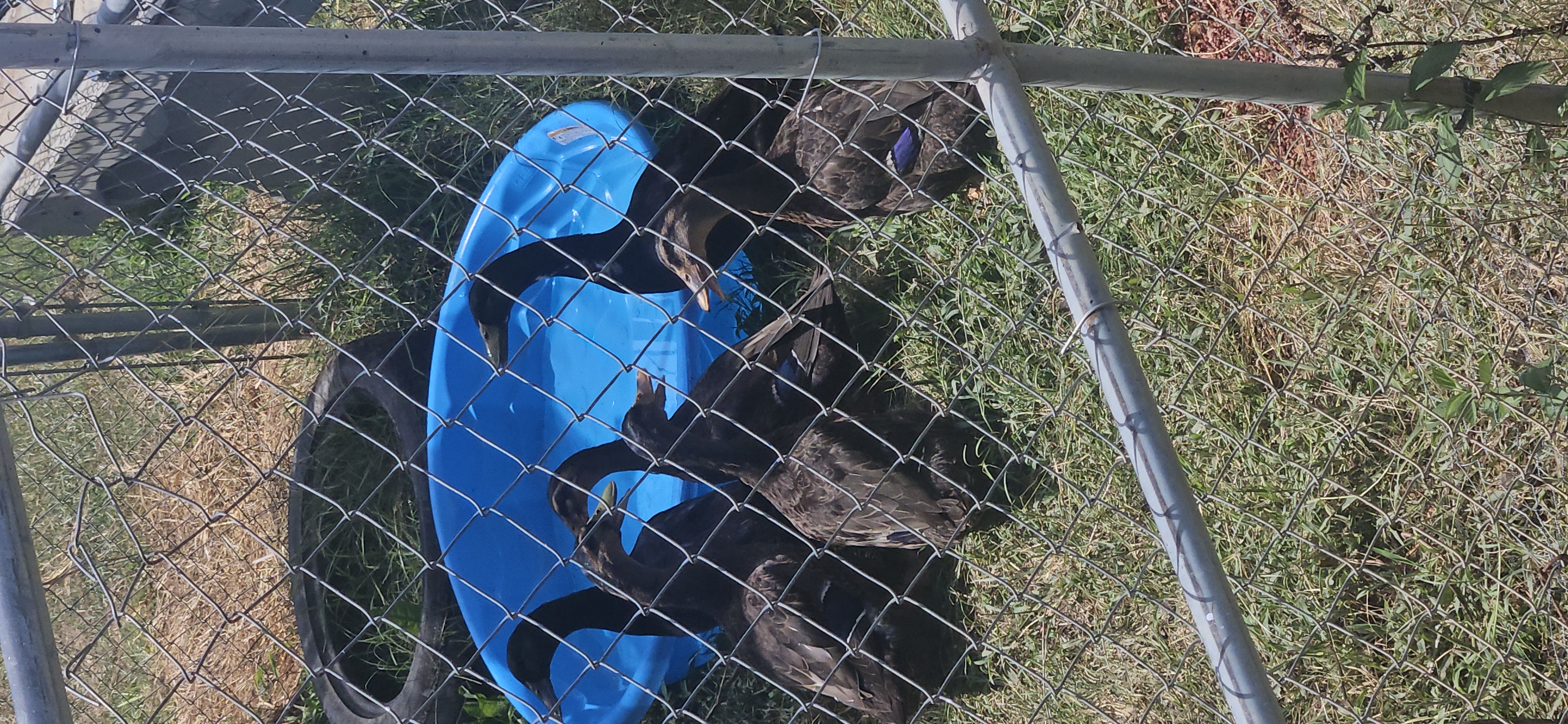 Writer: faithandfrontier