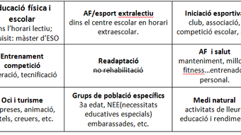 La programació en els 9 àmbits del grau CAFE
