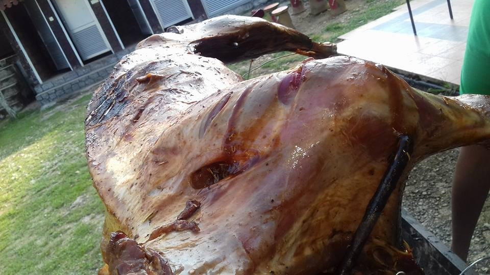 Kambing Golek Aqiqah