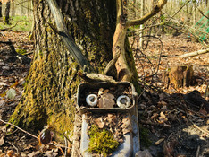 Elektrohirsch