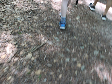 Projekttag - begleiteter Wandertag