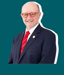 Vicepresidente PM