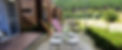 d34f88_8e973a82a60b4bfe83c2b54e14720a0f~mv2_d_4000_1656_s_2.jpg