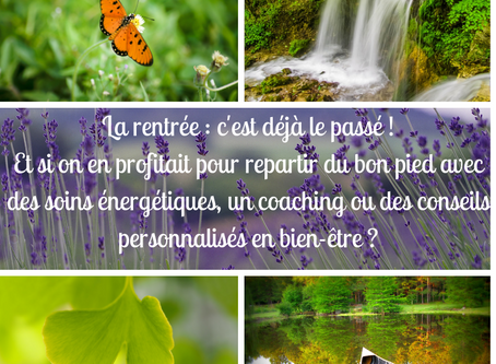 Repartir du bon pied avec Racine de Jade !