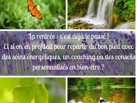 Repartir du bon pied avec Racine de Jade !
