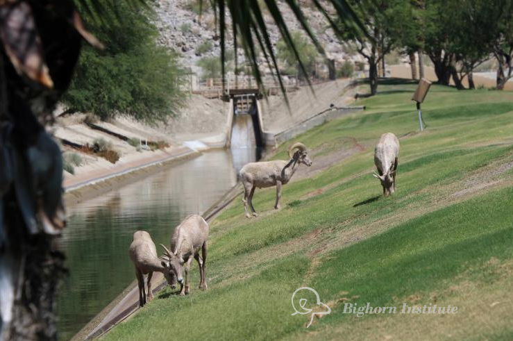 bddfc1b0-a657-4f41-aa93-0bdba1d3d070_edi