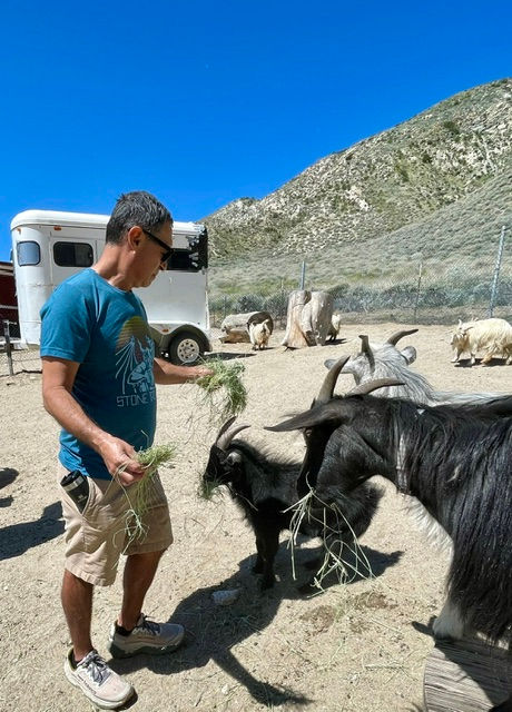 Guest learning to feed the goats.