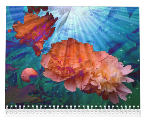 Thumbnail: 2026 Photo Surrealism Spiral Calendar