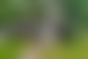 154 Pollard St, Billerica, MA 01862