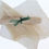 Thumbnail: Agave Backscrubber- FINE