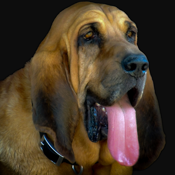 Untitled-5.png