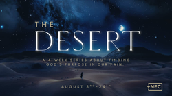 TheDesert_Web