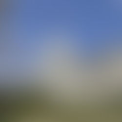 Kalshi Cleared by Judges to Host U.S. Election-Related Bets