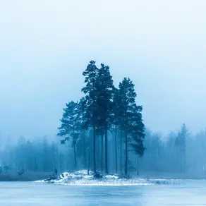 Nexo is buying Vauld, marking more DeFi consolidation