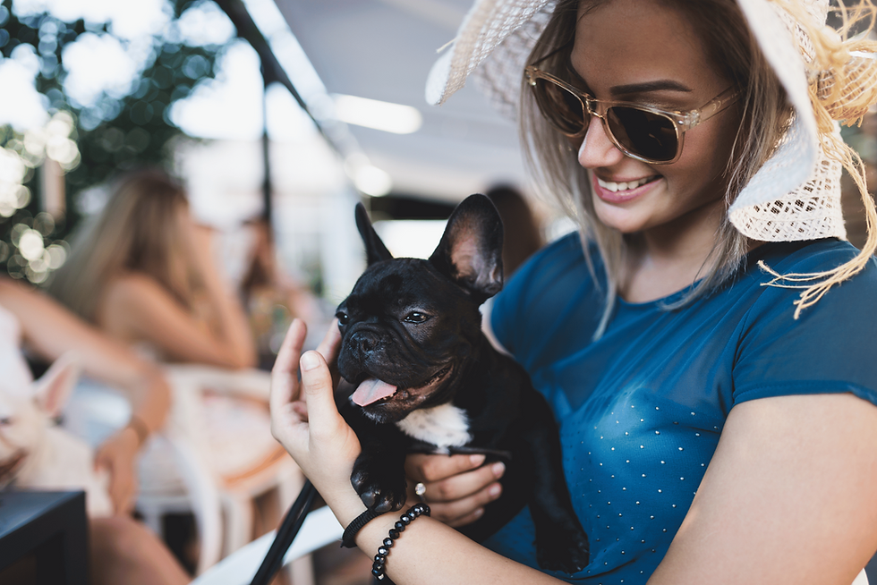 dog and owner at dog friendly restaurant in long beach