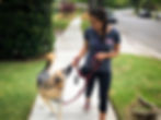 How Change Affects Your Pets & What You Can Do | Pet Waggin' Pet Care