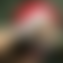 The BEST Holiday Pet Shopping Guide for Long Beach Pets