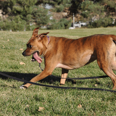 What Are Decompression Walks? (& Why You Want To Do ‘Em)