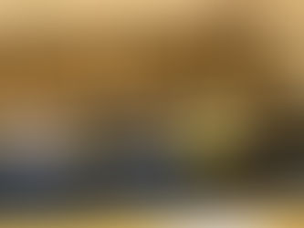 Flott møte i Folkets Stemme