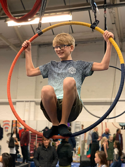 Families aerial hoop.jpeg