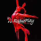 RoguePlay photo logo for social media.jp