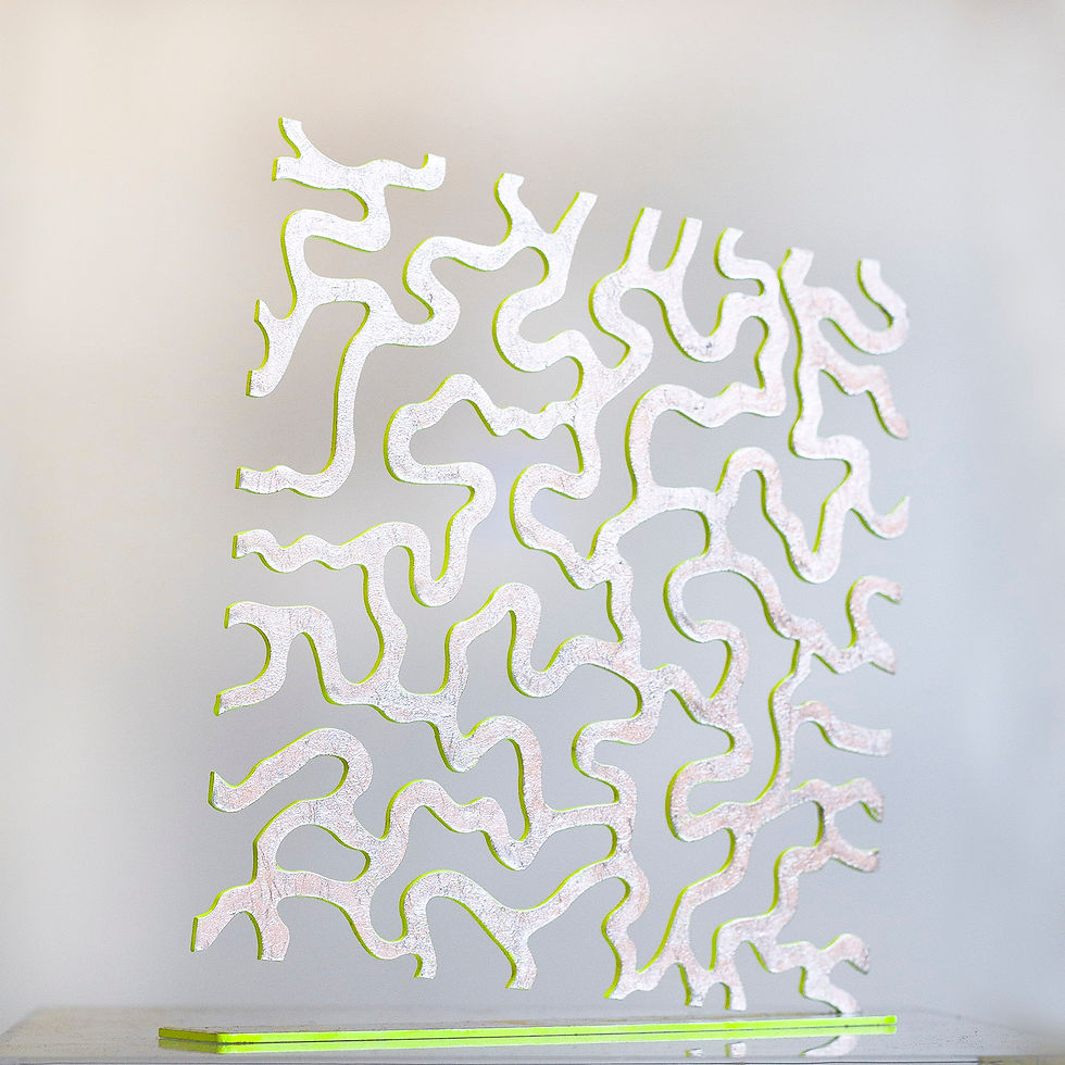 yolanda&H-corail-sylver-20x20cm