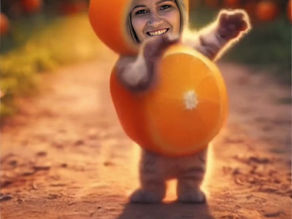 Thursday Oneonta 1/30 Dance Night at Red Barn