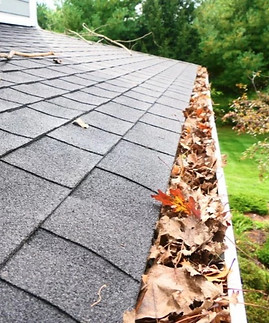 Gutters cleaning
