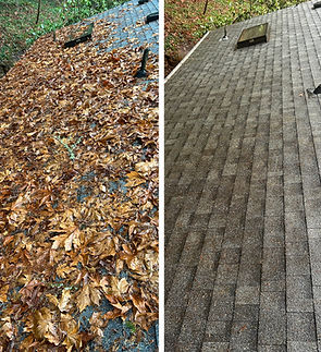 roof cleaning