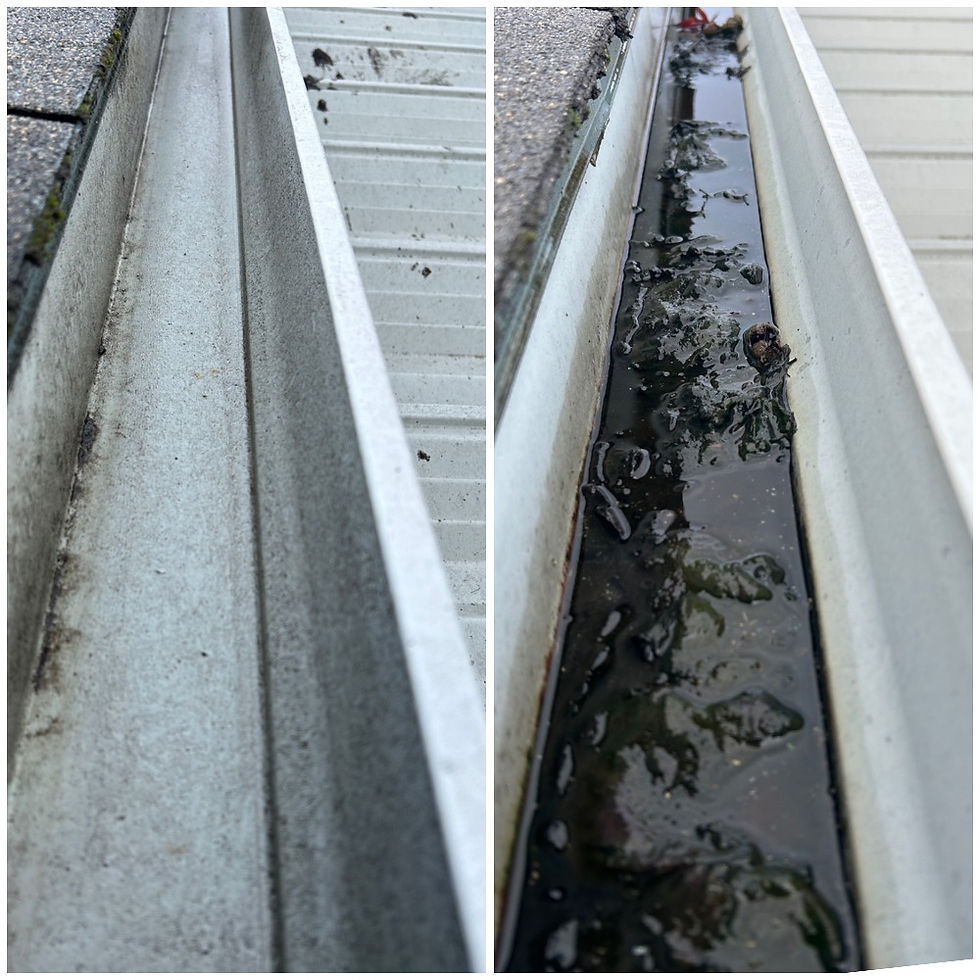 gutters cleaning