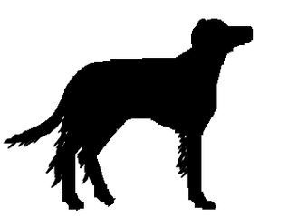 The Dog