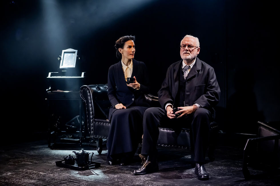Photo pièce Freud 2026
